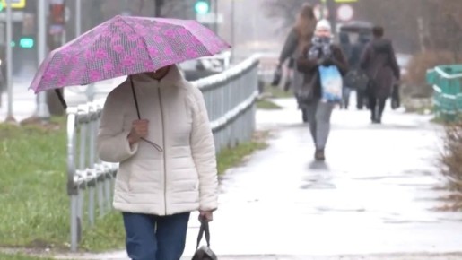 ������ � ����� �� ���������� ���������� ������� �� ���������: ����� ���� ���� ���������� ����� � �������� �� 24 �/� ��������� ����������, ����� ������ ������� ������ ������������