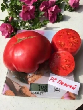 ����� ������: ������������� ���� � ������� ������������ �����������