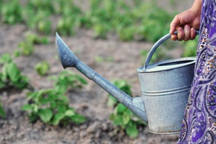 ������������ �����: ��� �� �������� ������ ������� � ���� � �������