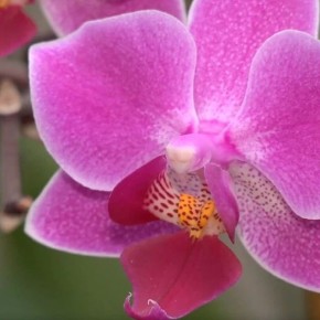 ������ ����! ����� �� ���������� ������� � ��� �������� �����