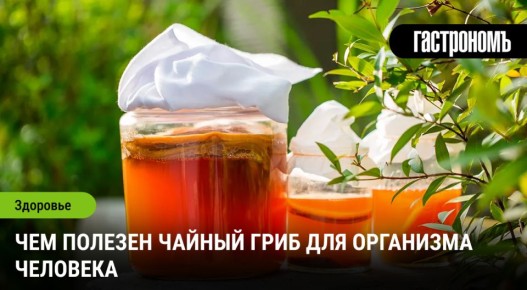 ������ ����: ������� �������� � ������������ ������������� �������