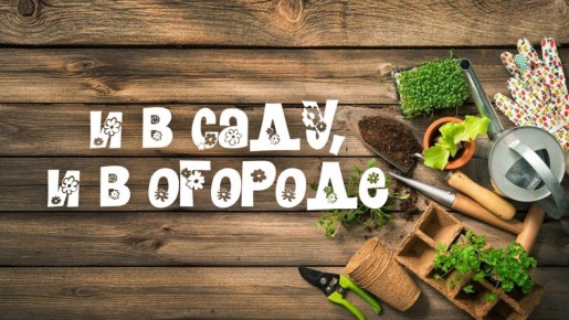 ��� ��������� �������� �������: ������ �� ���������