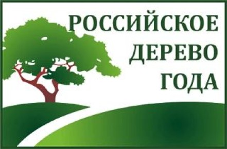 Дуб Степана Разина претендует на звание «Российское дерево года – 2026»
