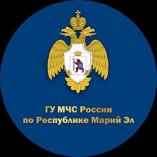 19 мая в 23:05 в пожарную охрану поступило сообщение о возгорании в деревне Аниссола Звениговского района