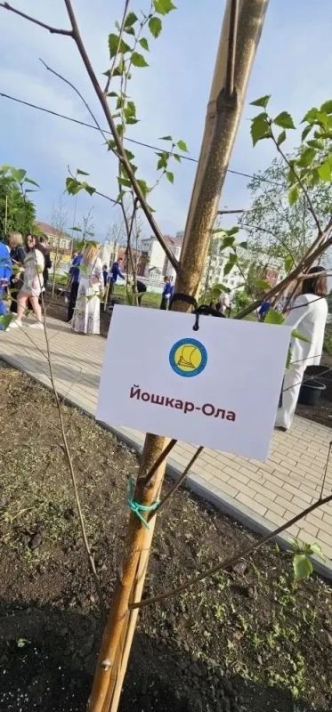 Глава городского округа "Город Йошкар-Ола" Евгений Кузьмин принял участие в Общем собрании Ассоциации городов Поволжья, которое состоялось в Самаре Глава городского округа "Город Йошкар-Ола" Евгений Кузьмин принял участие в Общем собрании Ассоциации городов Поволжья, которое состоялось в Самаре