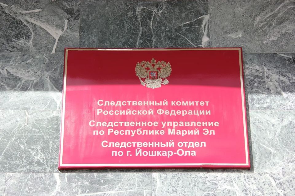 Жительница Йошкар-Олы признана виновной в причинении тяжкого вреда здоровью сожителю, повлекшем его смерть