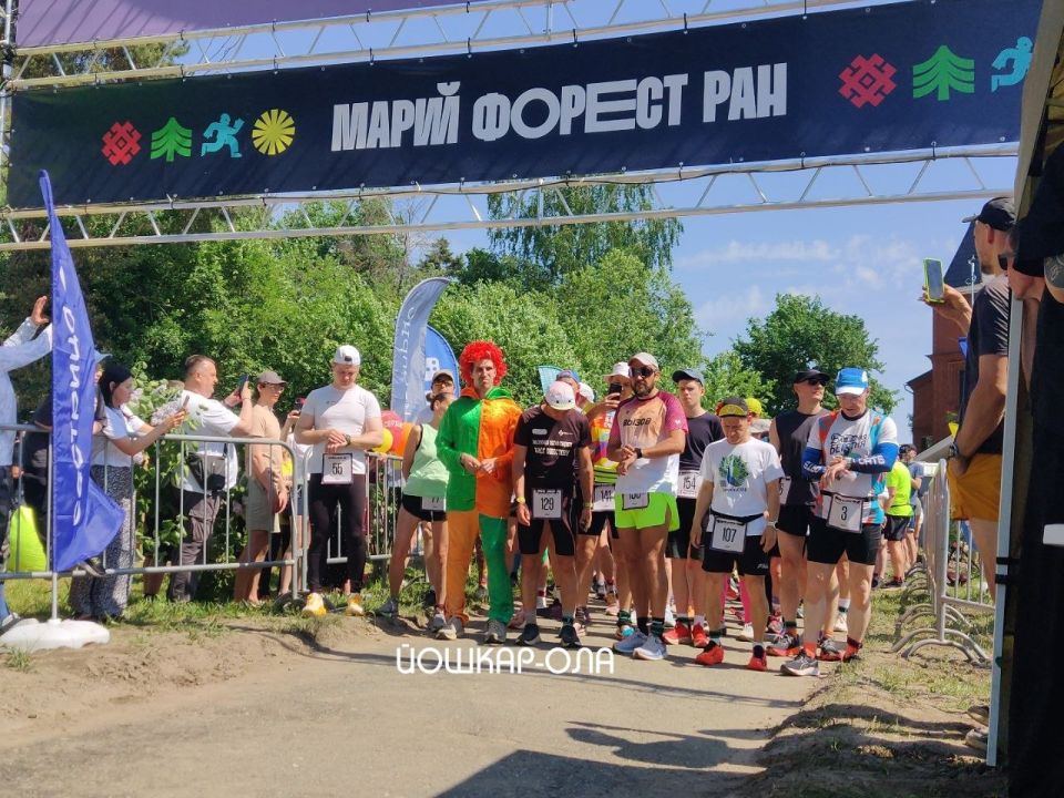 На старт, внимание, забег! На старт, внимание, забег!