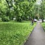 Хотим поделиться с вами новостями о работе подрядной организации, которая занимается обслуживанием наших озеленённых территорий