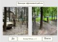 Управление муниципального контроля на страже чистоты и порядка: с начала года 470 протоколов составлено за нарушение Правил благоустройства города