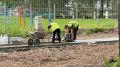 В Семёновке начался третий этап благоустройства сквера