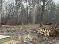 Верховный Суд Марий Эл оставил без изменения решение о прекращении частной собственности на земельные участки в границах особо охраняемой природной территории «Сосновая роща»