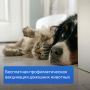 В Йошкар-Оле пройдет бесплатная вакцинация животных