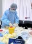 В Марий Эл выбирают лучшего ветеринарного фельдшера