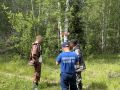 Спасатели МАСС вывели из леса в Медведевском районе подростка и мужчину