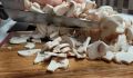 Ностальгия по простым вкусам: традиционная закуска из грибов