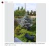 ��� ������� ��������� ������� �������: �������� ������