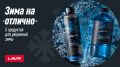Зимние хитрости для автомобилистов: 5 незаменимых средств от LAVR