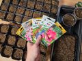 Как избежать распространенных ошибок при выращивании рассады
