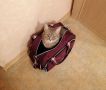 Когда коробки становятся тяжелее мебели: психология переезда