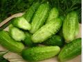 Огурец Вкус детства: самоопыляемый гибрид с красивым вкусом и богатым урожаем
