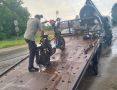 Житель Марий Эл оказался под арестом за пьяную езду на электровелосипеде