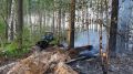 В лесах Марий Эл III класс пожарной опасности