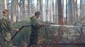 В лесах Марий Эл произошло 13 пожаров