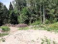 Житель Чебоксар вырубил деревья в Марий Эл на 600 тысяч рублей