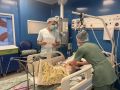 Врачи из Чувашии спасли четырехлетнюю девочку из Марий Эл, пострадавшую в ДТП