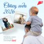 ������� ����� ���� � 2026�: ���� ������ ������! ��� ��� ���� ���������� ���� ������ � ����� ������ ���� � �������� ������������� ����
