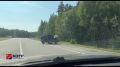 ��� �� ���������� ������. ���������� ������� ����� ����������� ������ ������ ���������