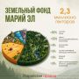 В Марий Эл 54,7% площади занимают леса, а 32,9% отведено под сельское хозяйство