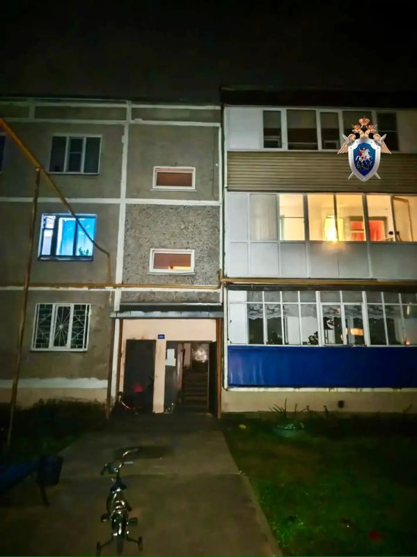 В Республике Марий Эл местный житель обвиняется в причинении смерти матери В Республике Марий Эл местный житель обвиняется в причинении смерти матери