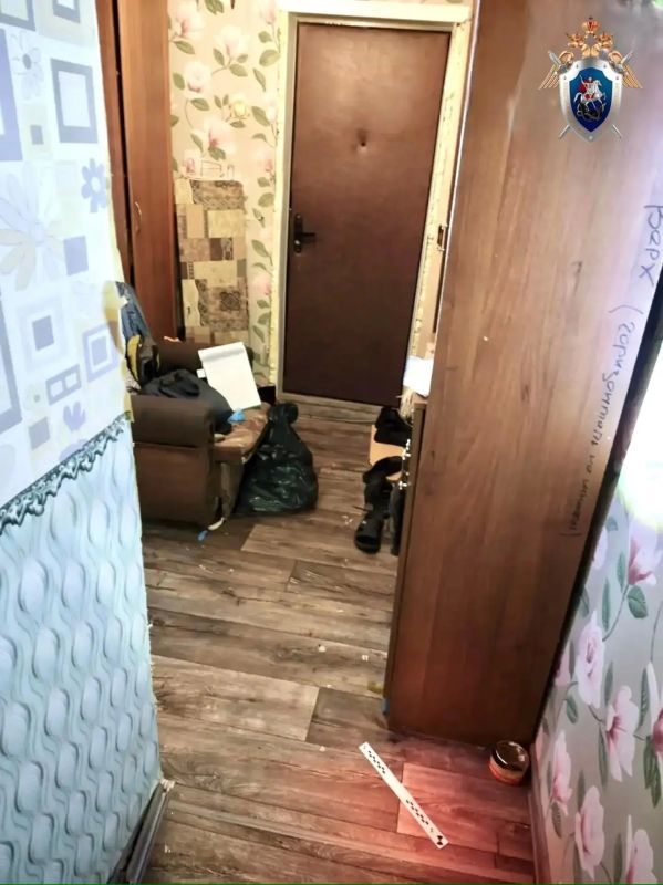 В Республике Марий Эл местный житель обвиняется в причинении смерти матери В Республике Марий Эл местный житель обвиняется в причинении смерти матери