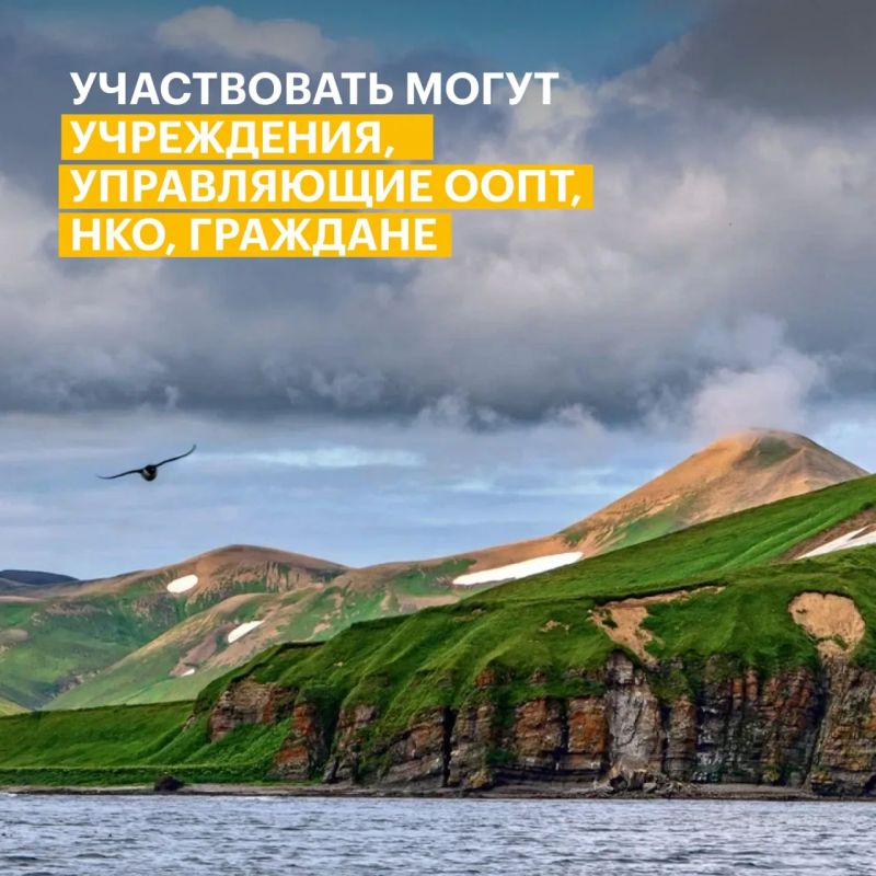Есть идея, которая поможет сохранить природу России? Пришло время превратить ее в проект Есть идея, которая поможет сохранить природу России? Пришло время превратить ее в проект