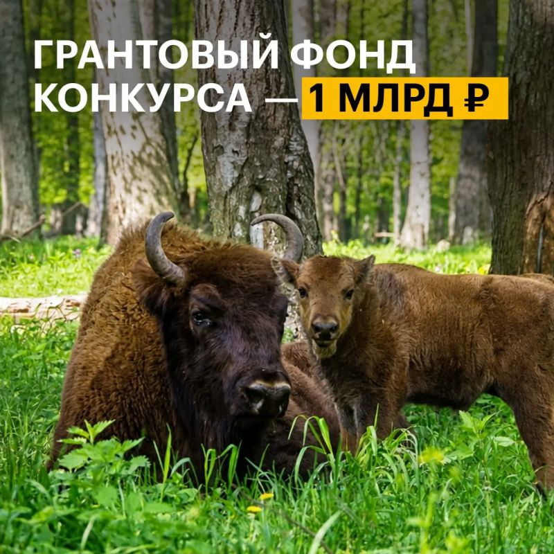 Есть идея, которая поможет сохранить природу России? Пришло время превратить ее в проект Есть идея, которая поможет сохранить природу России? Пришло время превратить ее в проект