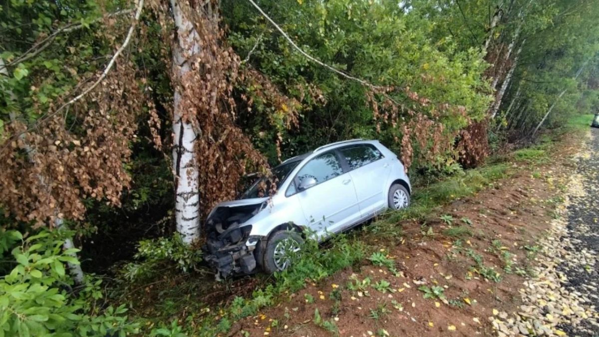 В Советском районе иномарка врезалась в дерево – водитель госпитализирована
