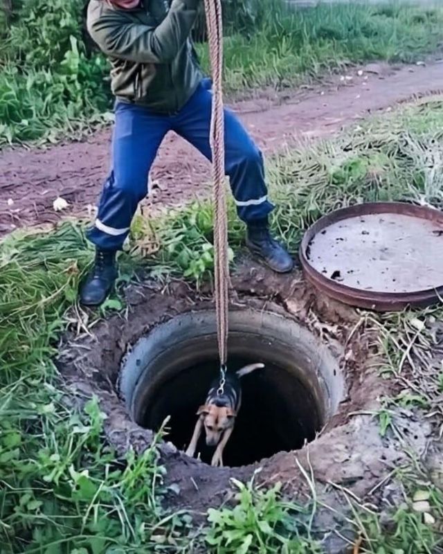 В Йошкар-Оле спасателям пришлось с собаку, провалившуюся в глубокий колодец