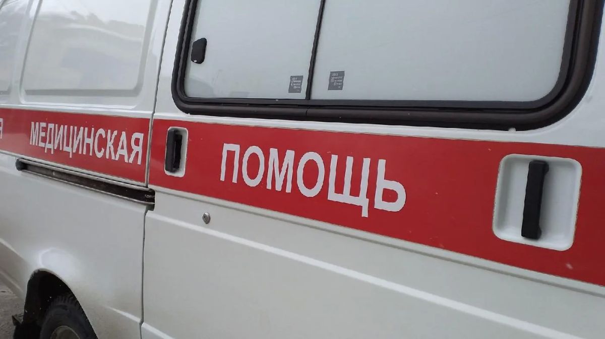 В Марий Эл на сельской дороге иномарка врезалась в мотоблок