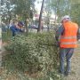 «Зеленые» бригады Йошкар-Олы продолжают заботу о любимом городе