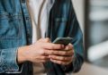Заявления на участие в дистанционном электронном голосовании в Марий Эл подали 81 090 жителей