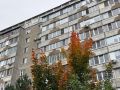 По темпам роста цен на вторичное жилье Марий Эл вошла в тройку российских регионов – лидеров за год