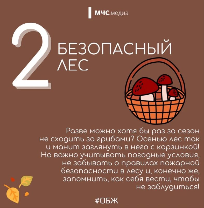 5 ОСЕННИХ СЕЗОННЫХ РИСКОВ — БЕЗОПАСНОСТЬ КАЖДЫЙ ДЕНЬ 5 ОСЕННИХ СЕЗОННЫХ РИСКОВ — БЕЗОПАСНОСТЬ КАЖДЫЙ ДЕНЬ