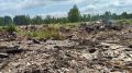 В Марий Эл арендованный участок превратили в свалку