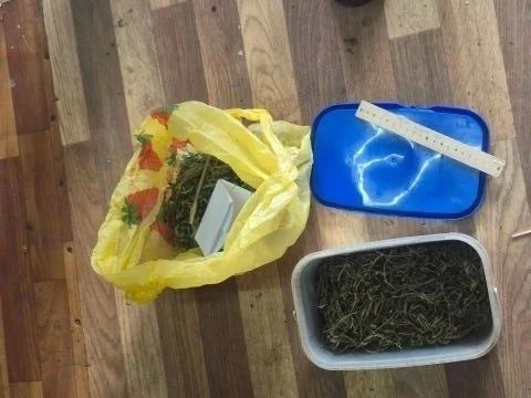 В Новоторъяльском округе Марий Эл полицейские обнаружили у 38-летнего мужчины наркотики, хранившиеся дома