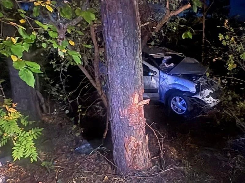 Водитель «Лады» в Мари-Турекском районе врезался в дерево: погиб пассажир