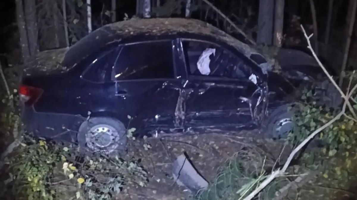 В Килемарском округе пьяный водитель съехал в кювет