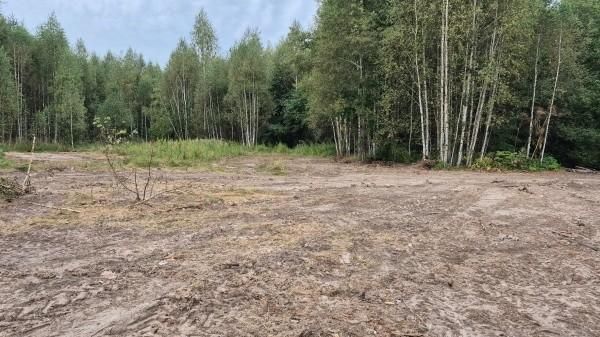 Несанкционированную свалку твердых коммунальных отходов на землях сельскохозяйственного назначения ликвидировали в Звениговском районе Марий Эл