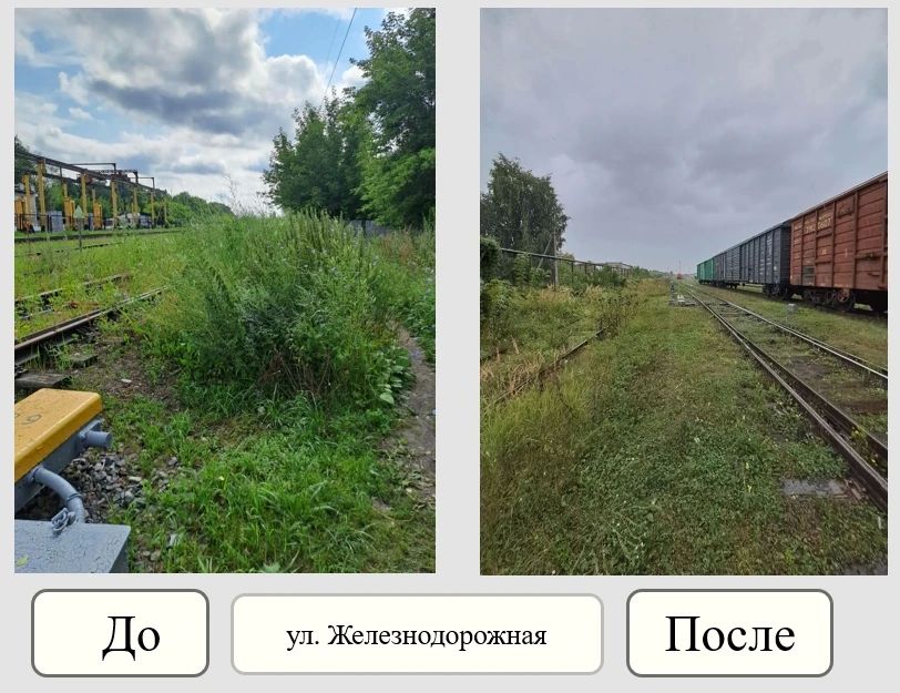 Муниципальный контроль: цифры недели Муниципальный контроль: цифры недели