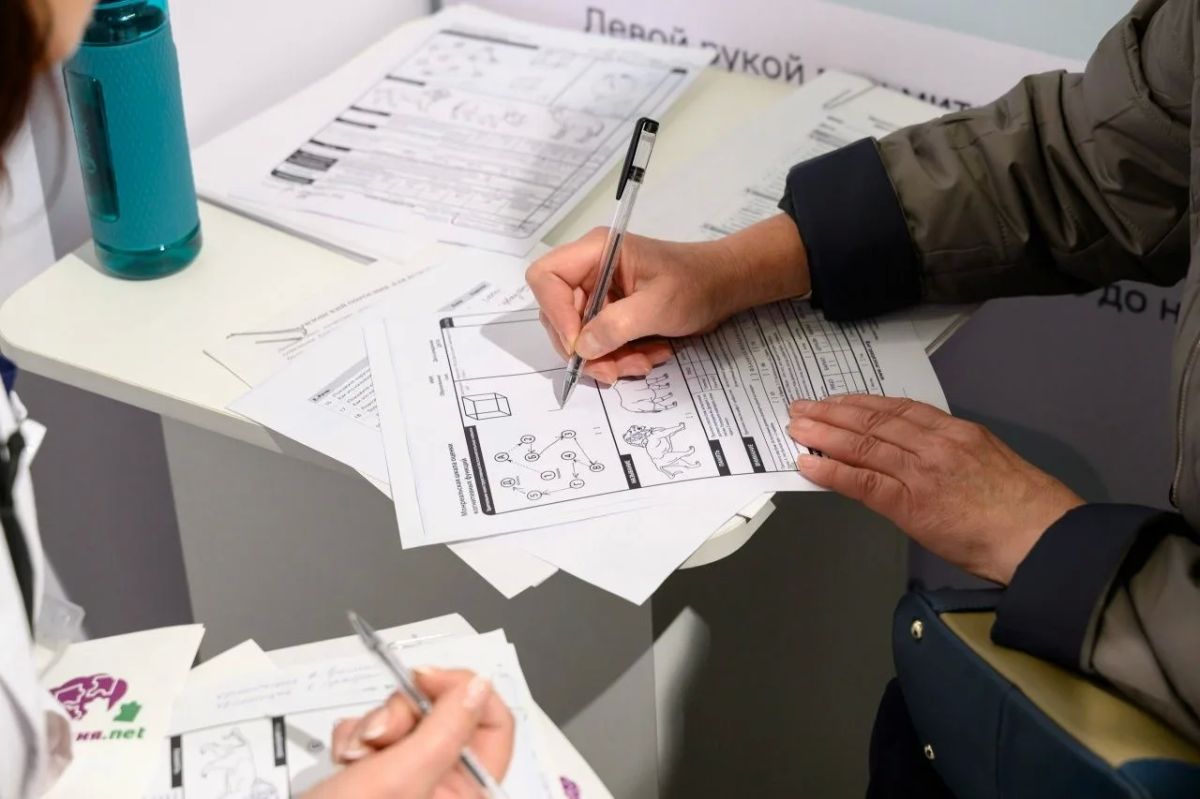 Покупатели Йошкар-Олы проверили здоровье мозга в «Пятёрочке» Покупатели Йошкар-Олы проверили здоровье мозга в «Пятёрочке»